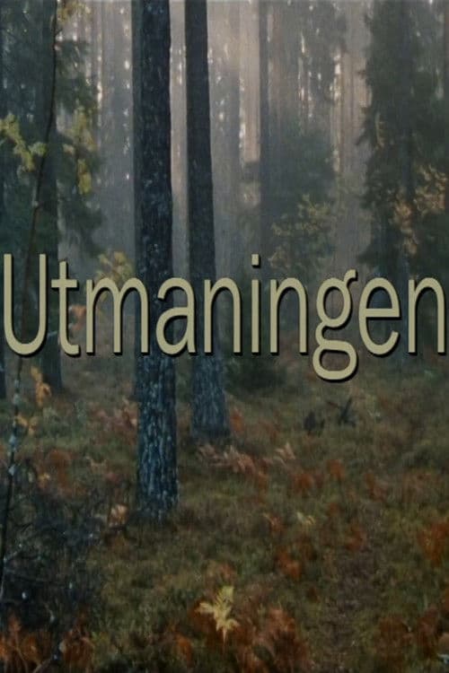 Utmaningen poster