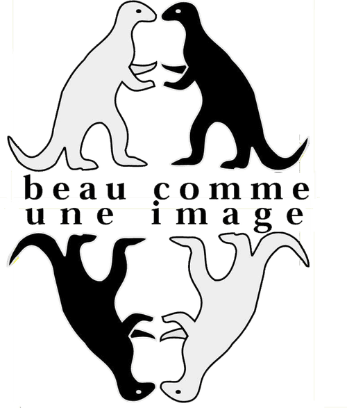 Beau Comme une Image
