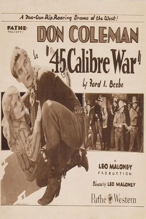 .45 Calibre War poster