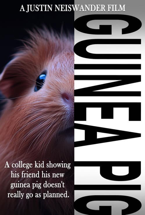 Guinea Pig poster