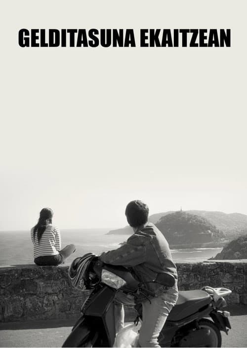 Stillness in the Storm poster