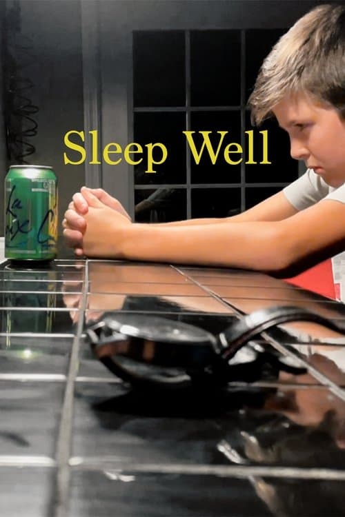 Sleep Well poster