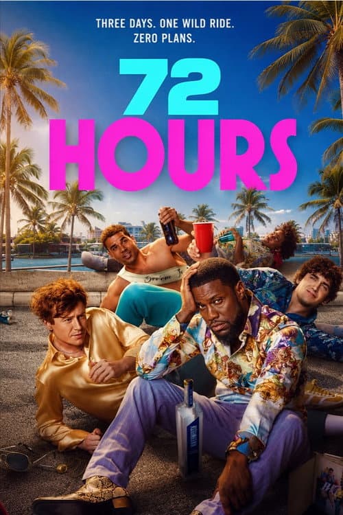 72 HOURS poster