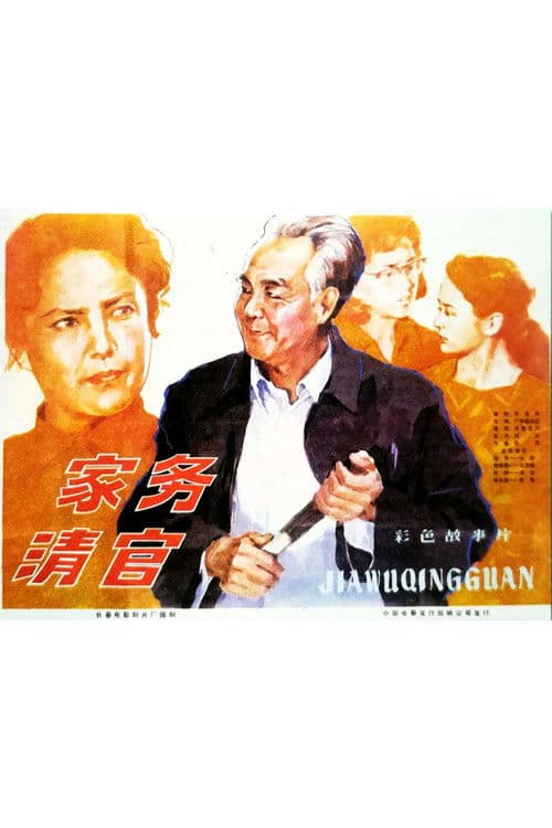 家务清官 poster