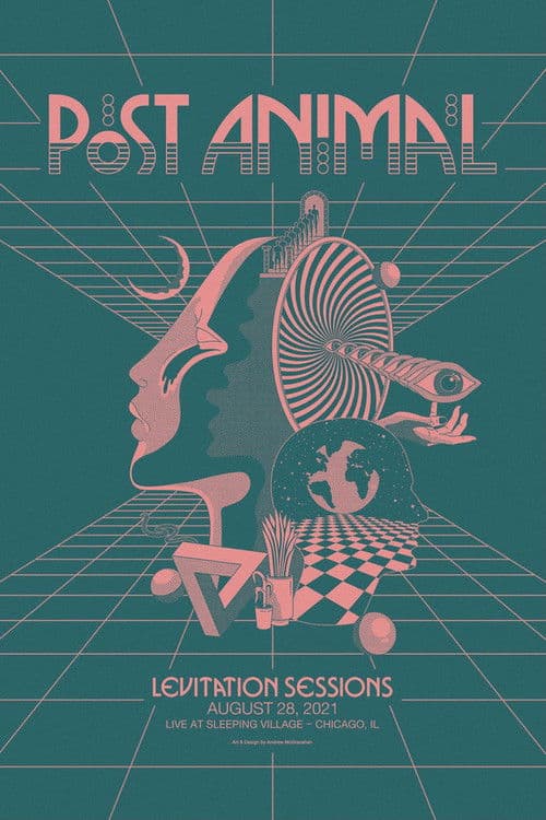 Post Animal - Levitation Sessions poster