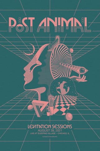 Post Animal - Levitation Sessions poster