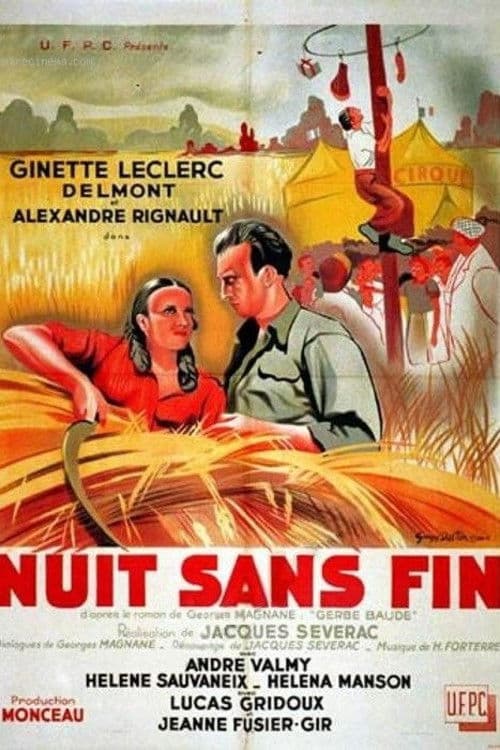 Endless Night poster