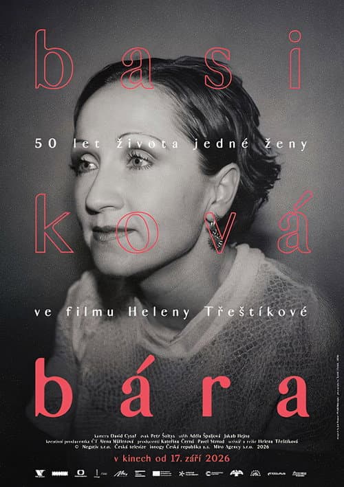 Bára - Diary of a Rockstar poster