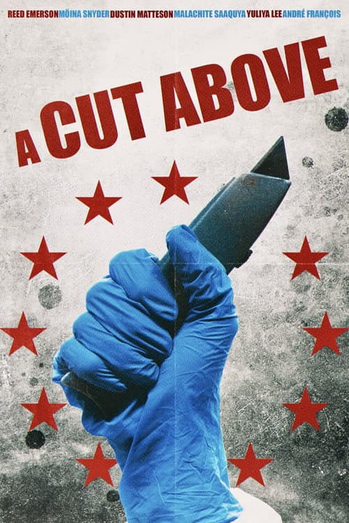 A Cut Above poster