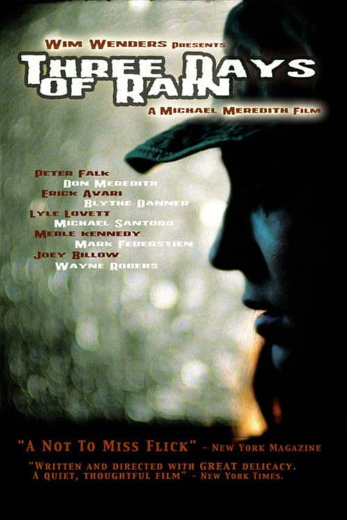 Three Days of Rain poster