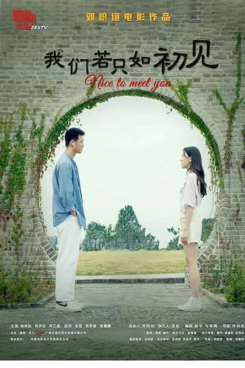 Nice to Meet You poster