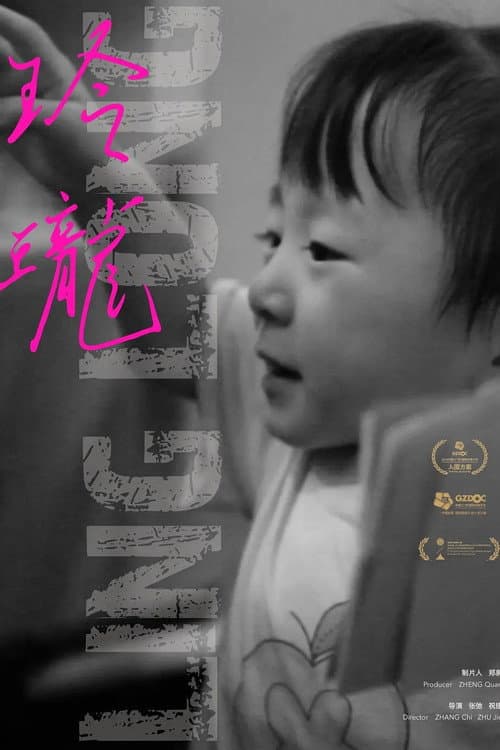 玲珑 poster