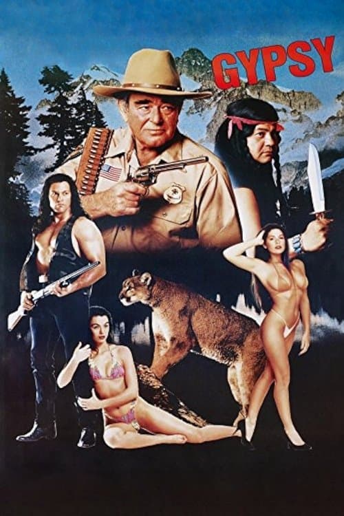 Gypsy poster
