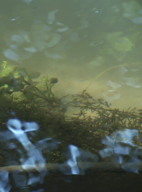 Heartbroken for Good poster