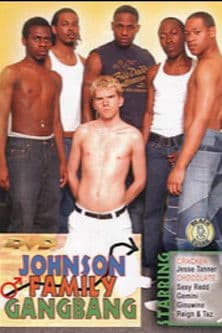 Johnson Family Gangbang poster