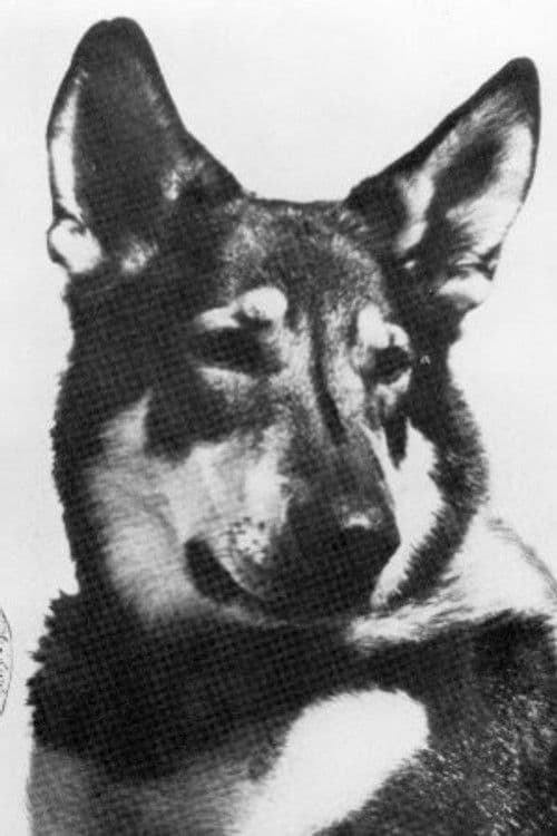 London profile photo