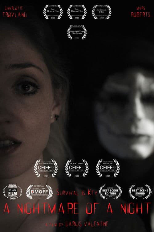 A Nightmare of a Night poster