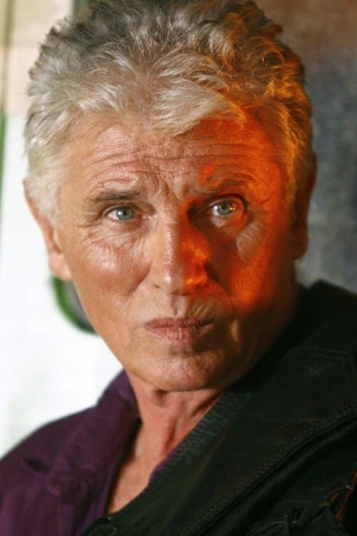 Szabolcs Cseh profile photo