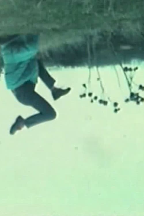 Vertiges poster