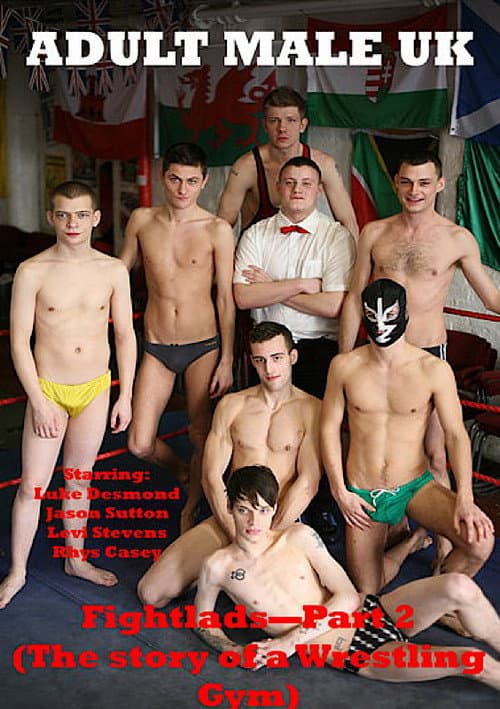 Fightlads 2 poster