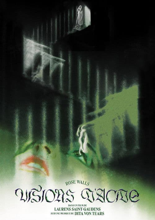 Visions of Acid poster