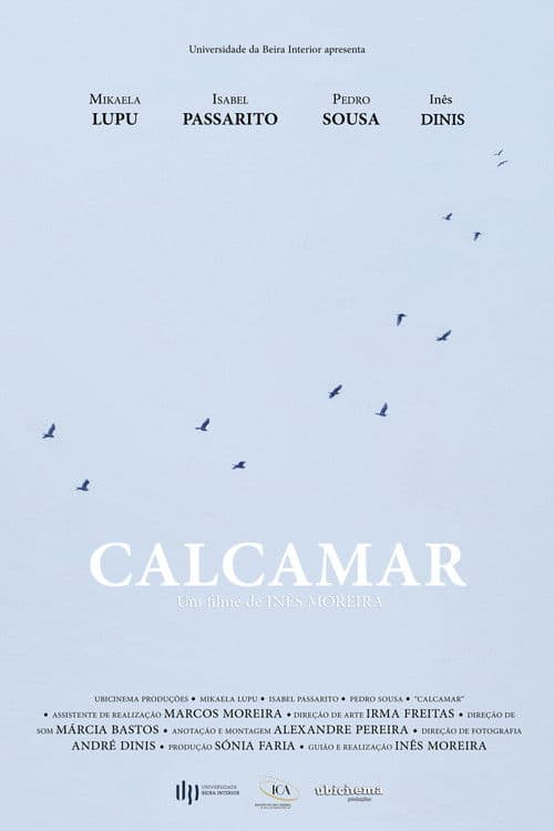 Calcamar poster