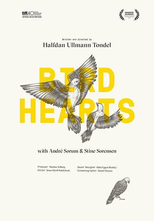 Bird Hearts poster