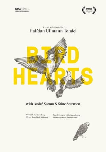 Bird Hearts poster