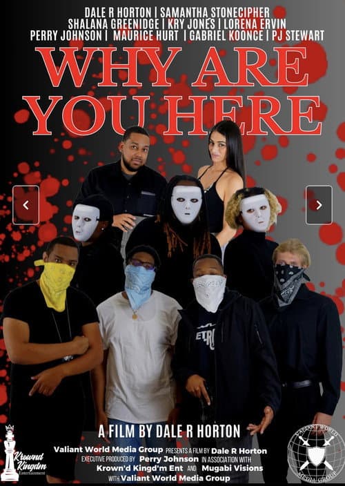 Why Are You Here poster