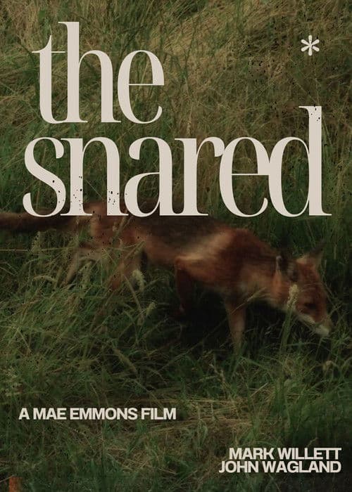 The Snared poster