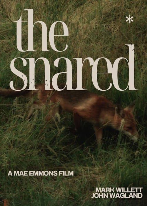 The Snared poster