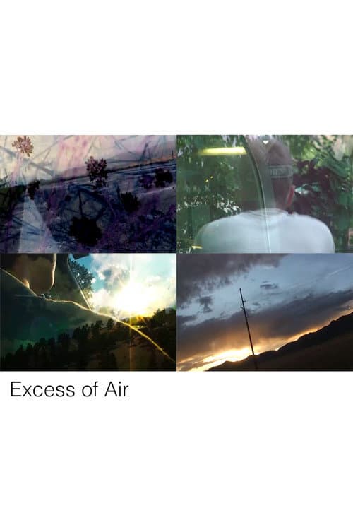 Excess of Air