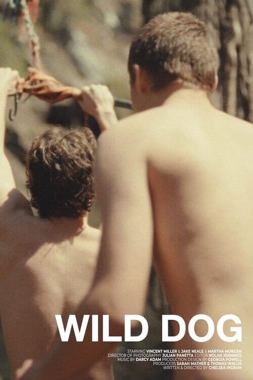 Wild Dog poster