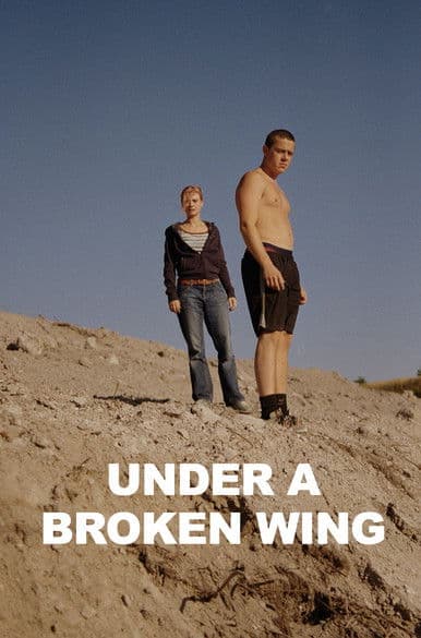 Under a Broken Wing poster