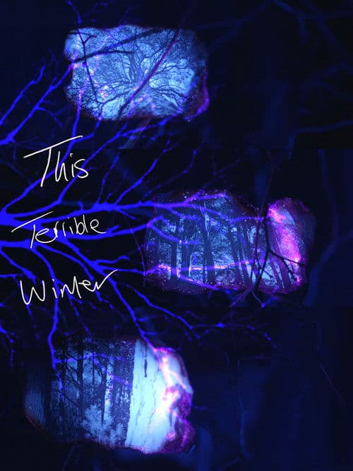 This Terrible Winter poster