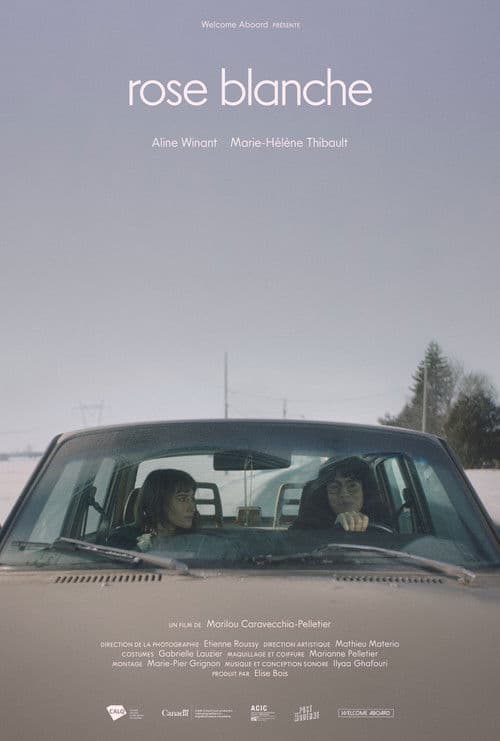Rose Blanche poster