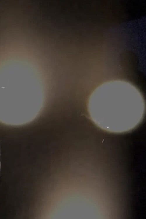 ‘How to riot’ tips and tactics poster