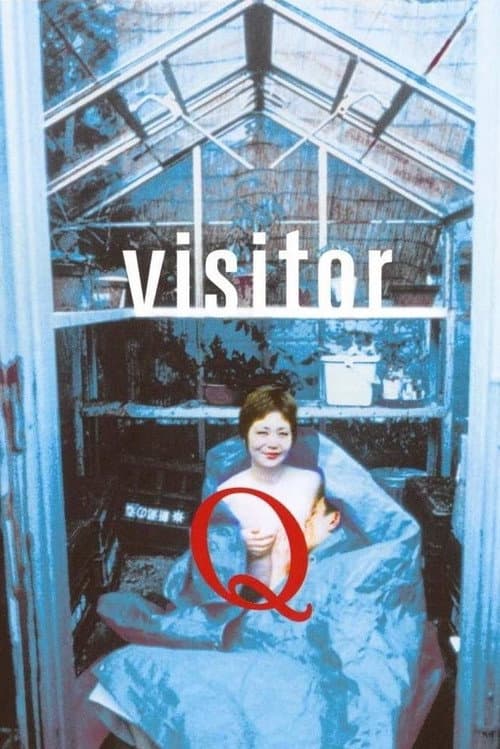 Visitor Q poster