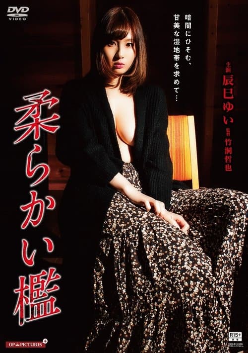 Gishin rankô: Yamiyo ni ugomeku mesu shiri poster