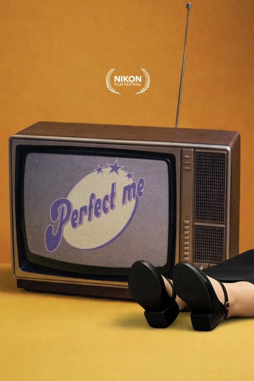 Perfect Me poster