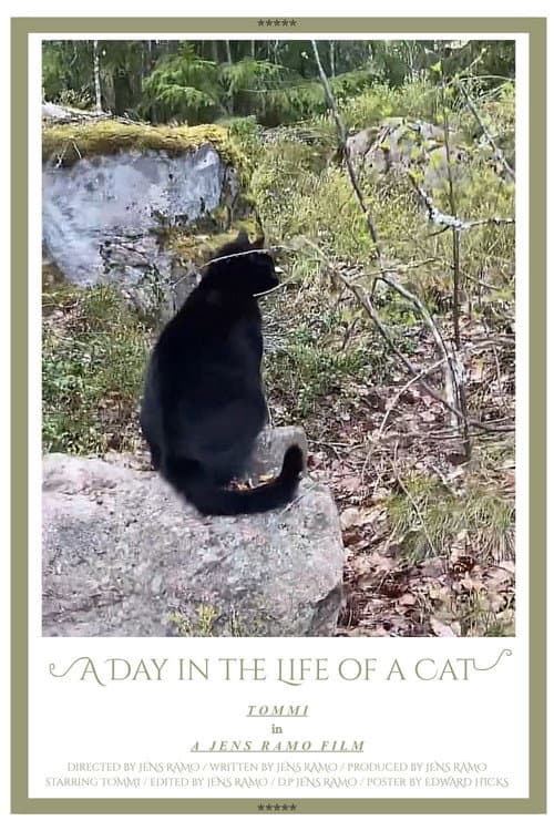 A Day in the Life of a Cat poster