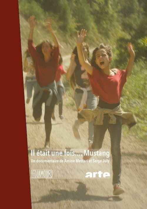 Once Upon a Time... MUSTANG poster