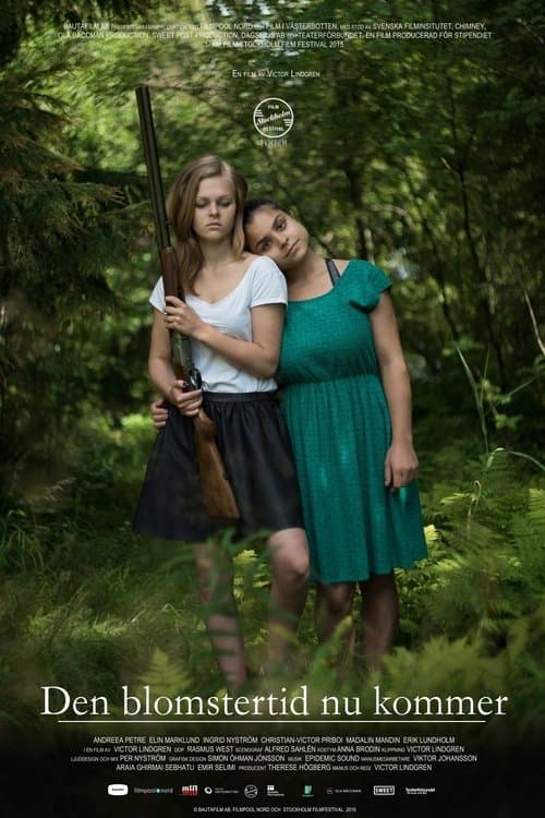 Meet Me in Holmsund poster