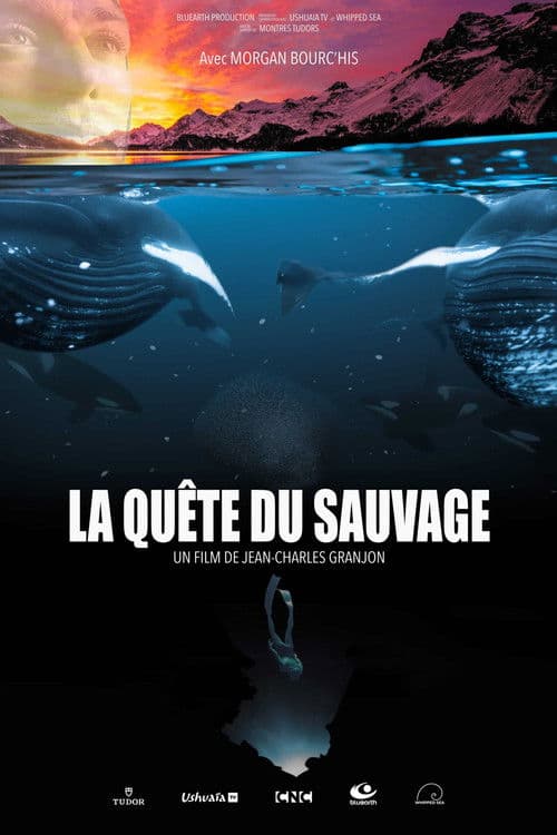 La Quête du sauvage poster