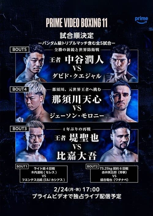 PRIME VIDEO BOXING 11 poster
