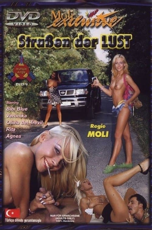 Straßen der Lust poster