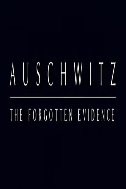 Auschwitz: The Forgotten Evidence poster