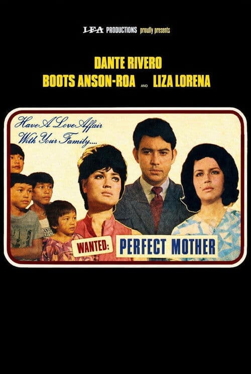 Wanted: Perfect Mother poster