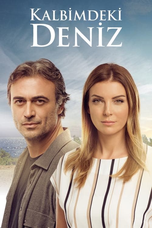 Deniz Inside My Heart poster