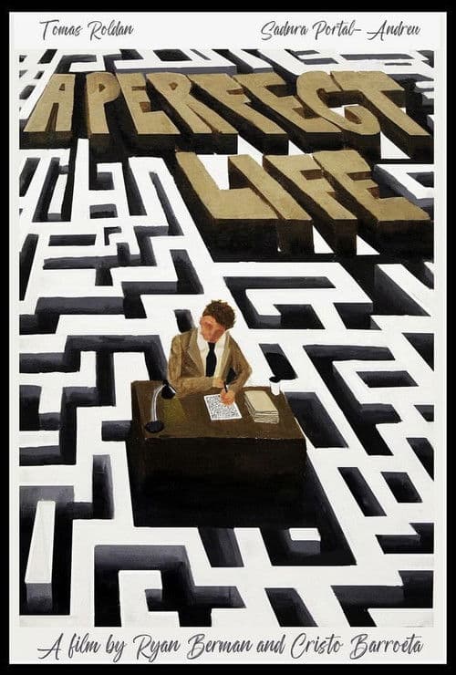 A Perfect Life poster